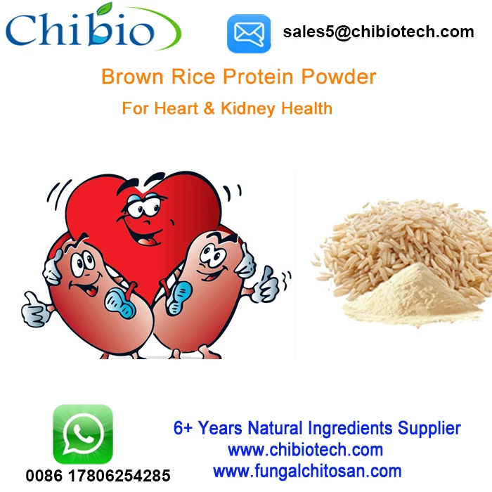 Pure 90% Brown Hydrolyzed Rice Bran Protein Powder Rice Protein rice for Muscle Building