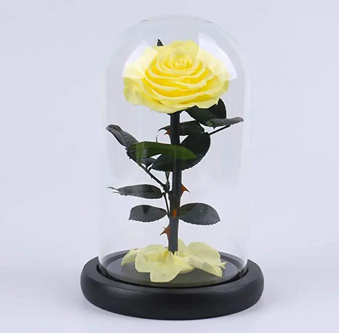 Wholesale eternal luxury roses real preserved flower roses in glass dome