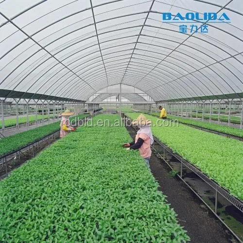 Polytunnel Garden High Quality Plastic  Greenhouse For Agriculture
