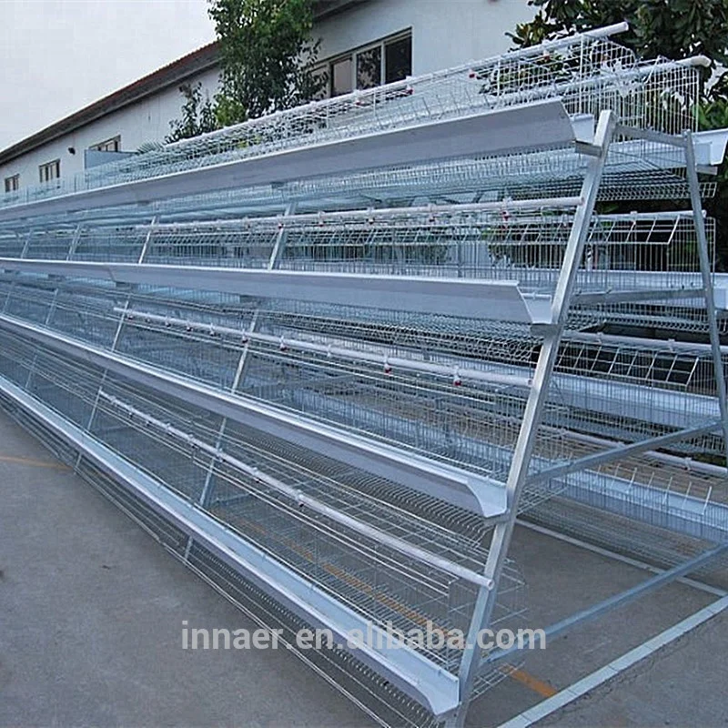 Egg laying Chicken Cage for sale