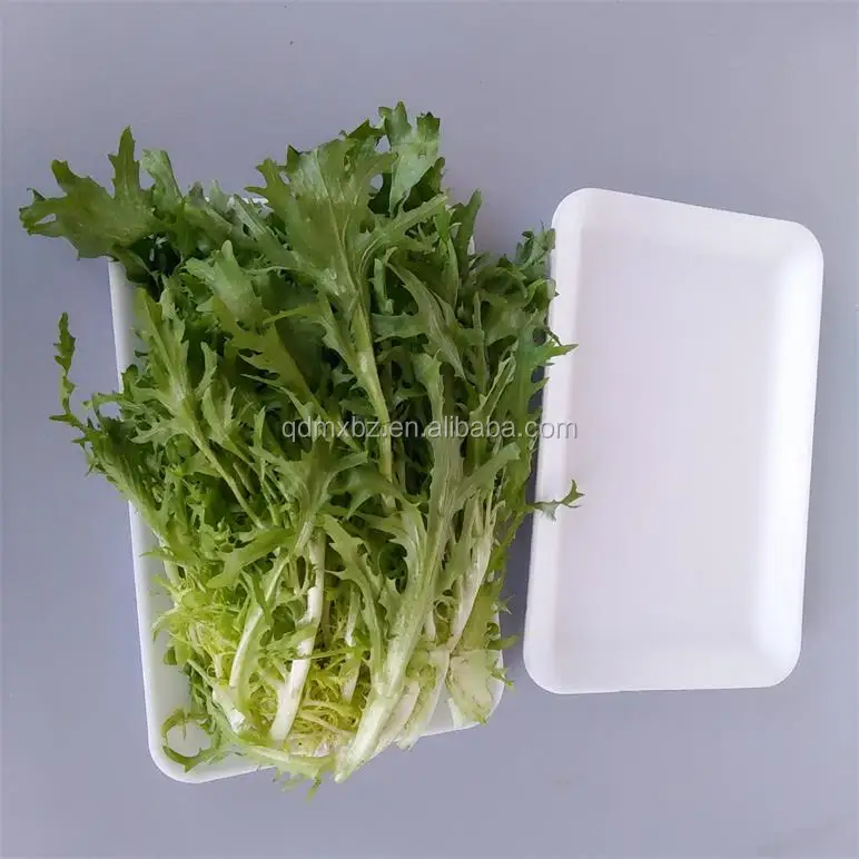 white polystyrene ps foam tray