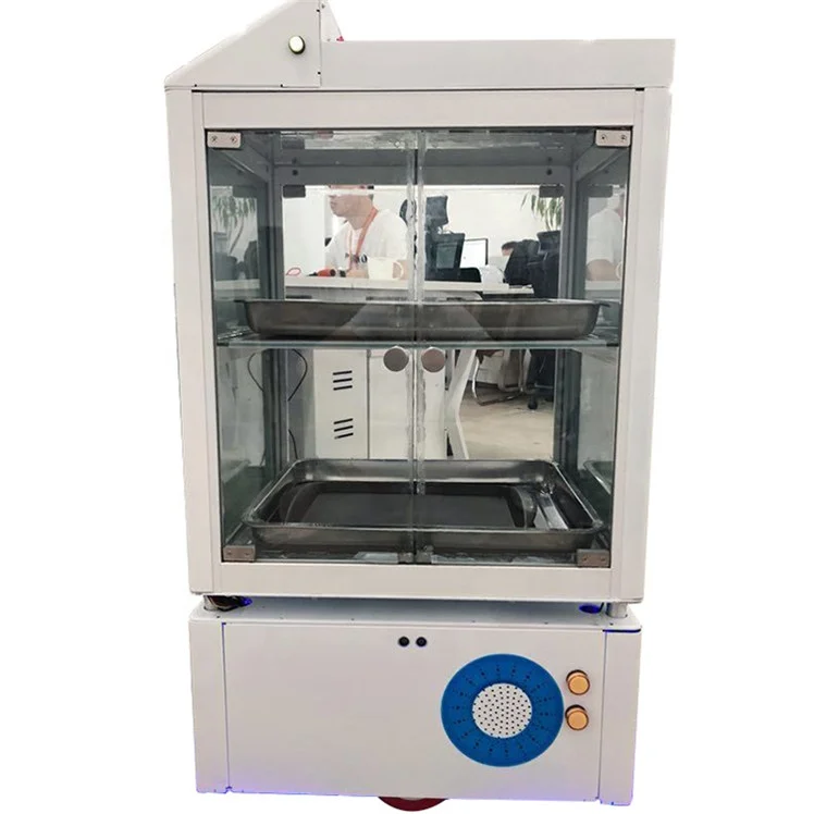 
New Fashion Service Humanoid Robot Programmable Robot Restaurant 