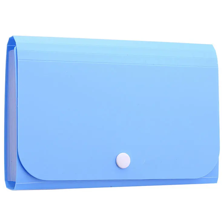 Accordion File Organizer, A6 Plastic Wallet for Cards,Coupons,Receipt,Tax Item, Mini Expanding Folders 13 Pockets