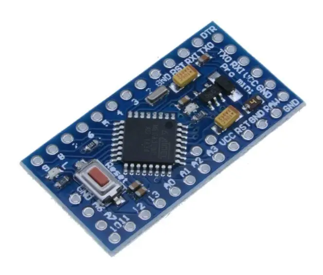 Chipskey Neutral Without LOGO Pro Mini 5V/3.3V For Arduinos