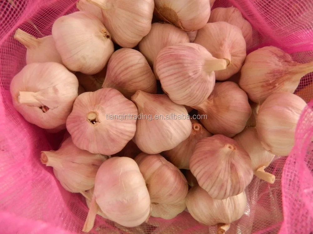 fresh garlic with garlic bag in China