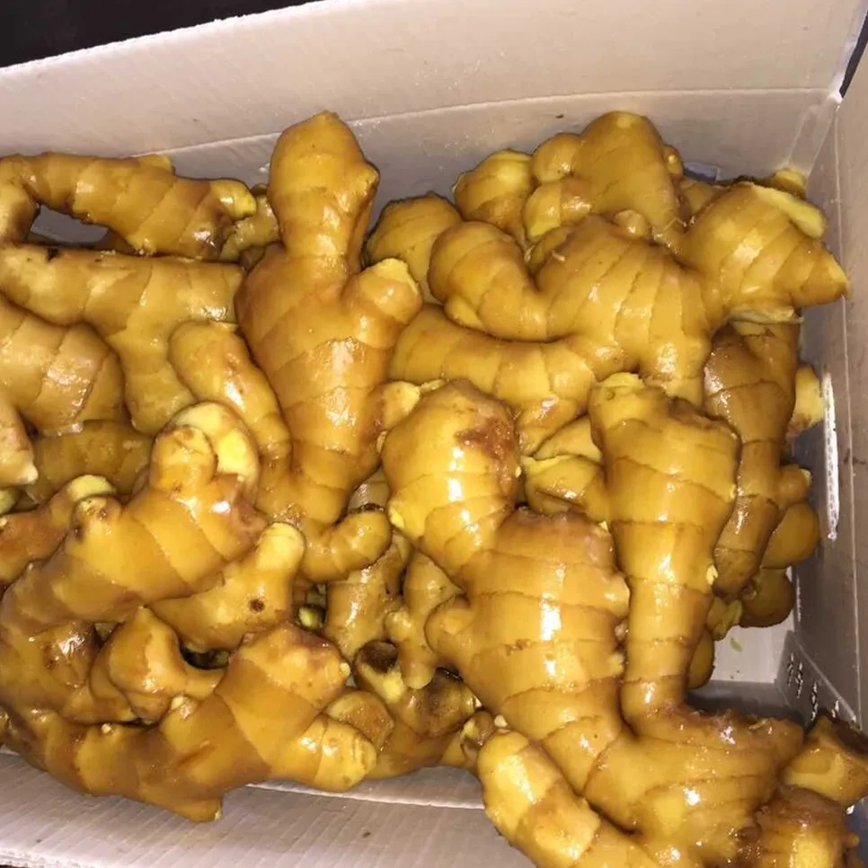 
Fresh Ginger From China 