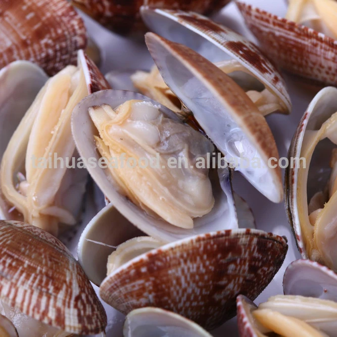 cooking and vacuum packed clams in frozen