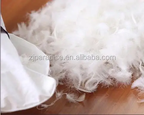 
Factory Supply Provide High Quality Attractive Wholesale Bulk Washed Duck Feather For Pillow Duvet Use 