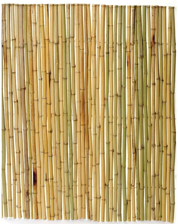 Cheap bamboo fence with good quality for garden