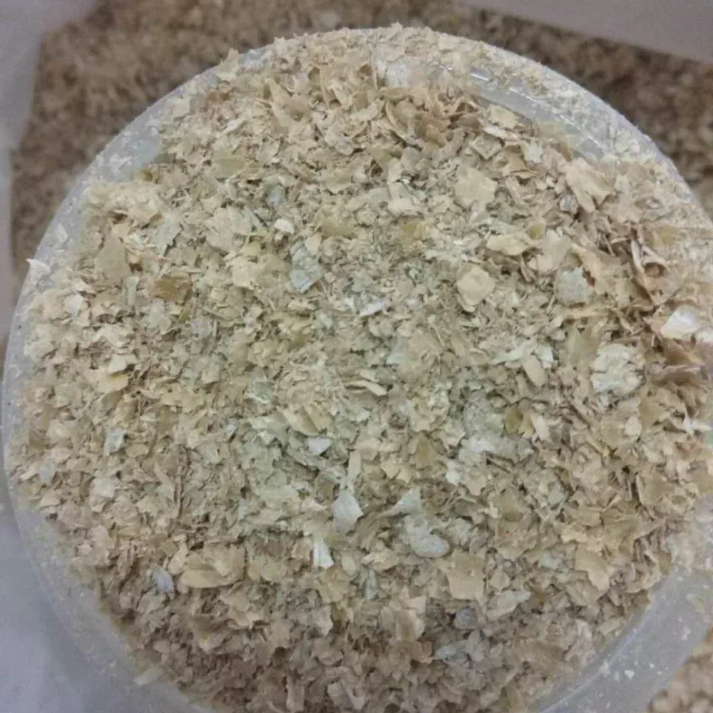 
High quality healthy Wheat bran for animal feed /fodder manufacturer 