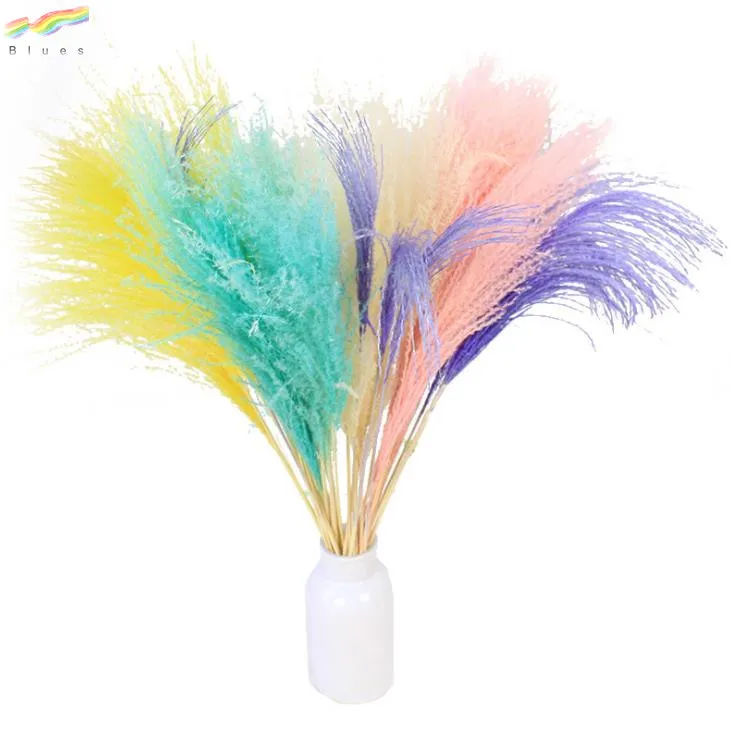 Сушеная пампасная трава тростник Натуральные сушеные цветы нефрагмиты декоративные перья тростник трава высокая трава