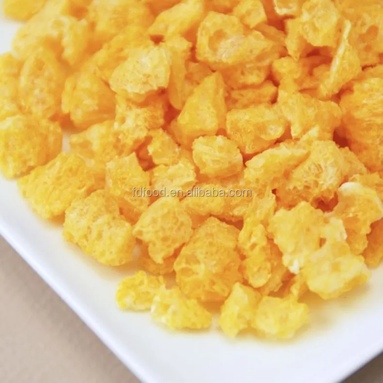 fruit fresh ingredients freeze dried Orange importers