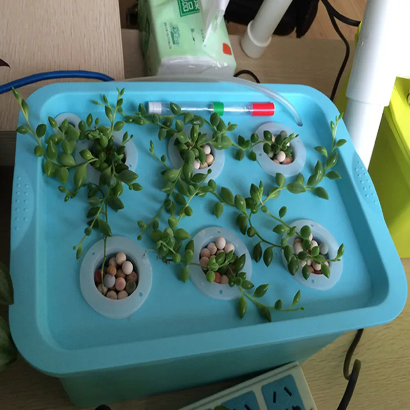 6 holes home desktop Hydroponic planting growing box