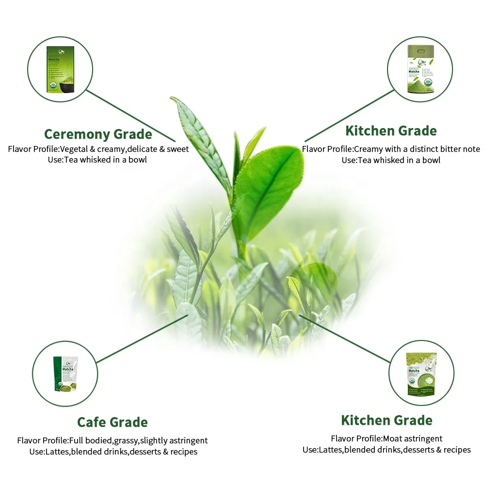 Runming Flavored Detox Lose Weight Japanese Ceremonial OEM Matcha/Green Tea Extract Bulk Powder Green Detox Matcha Tea Powder