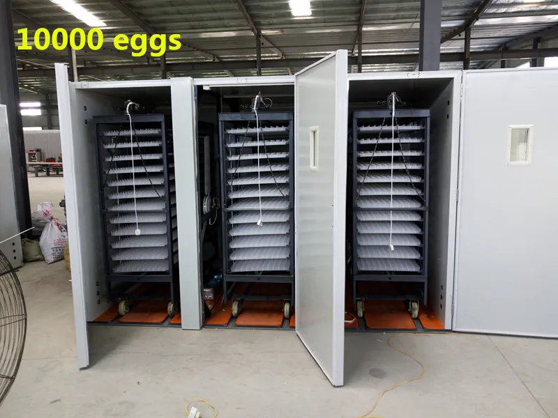 
Cheap price Egg incubator for hatching 12 chicken eggs Small mini egg incubator for sale 