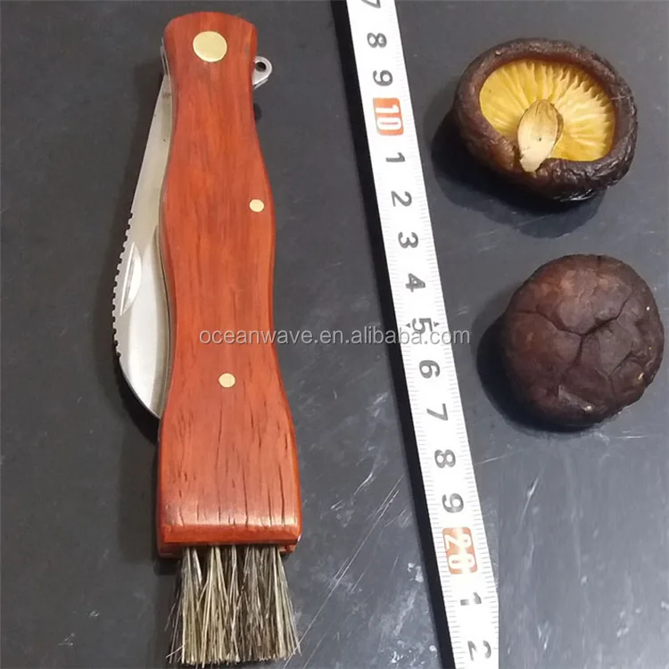 Multi Wood Handle Mushroom Knife With Brush