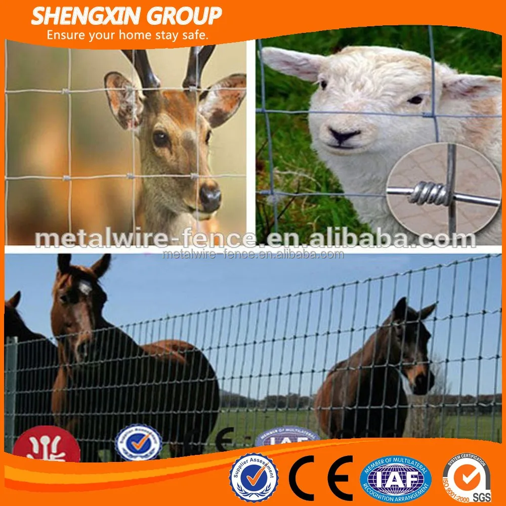 Alibaba online hot sale cheap price metal cattle farm fence