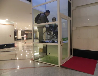 400kg Platform home elevator screw platform home elevator