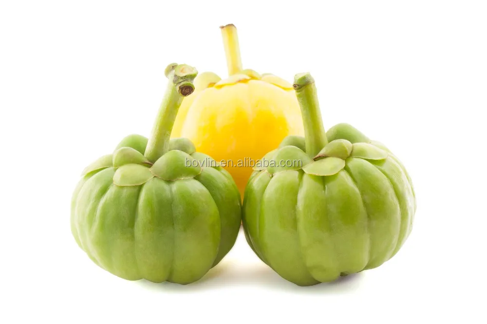 
Natural Weight Loss Product Garcinia Cambogia Extract 60% HCA Powder 