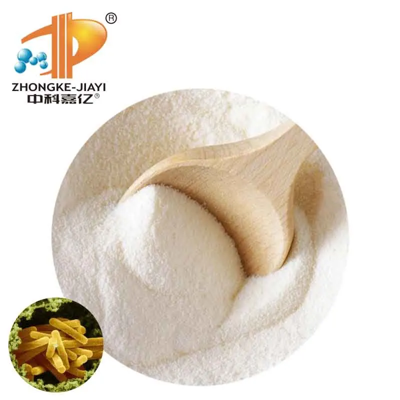
China factory supplier Natural Lactobacillus Reuteri Freeze Dried Powdered probiotics 