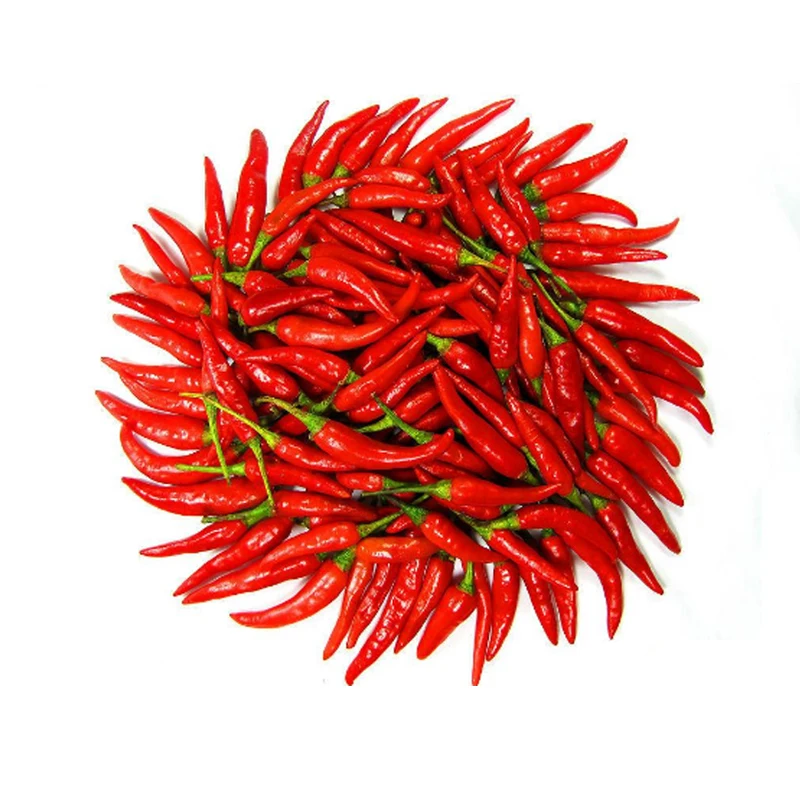 18 Years Food flavour and fragrance oil manufacturer food  flavour grade supplier chili seasoing powder offer free sample