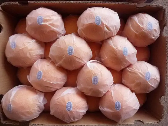 
Fresh Orange,Delicious Mandarin, From Turkey 