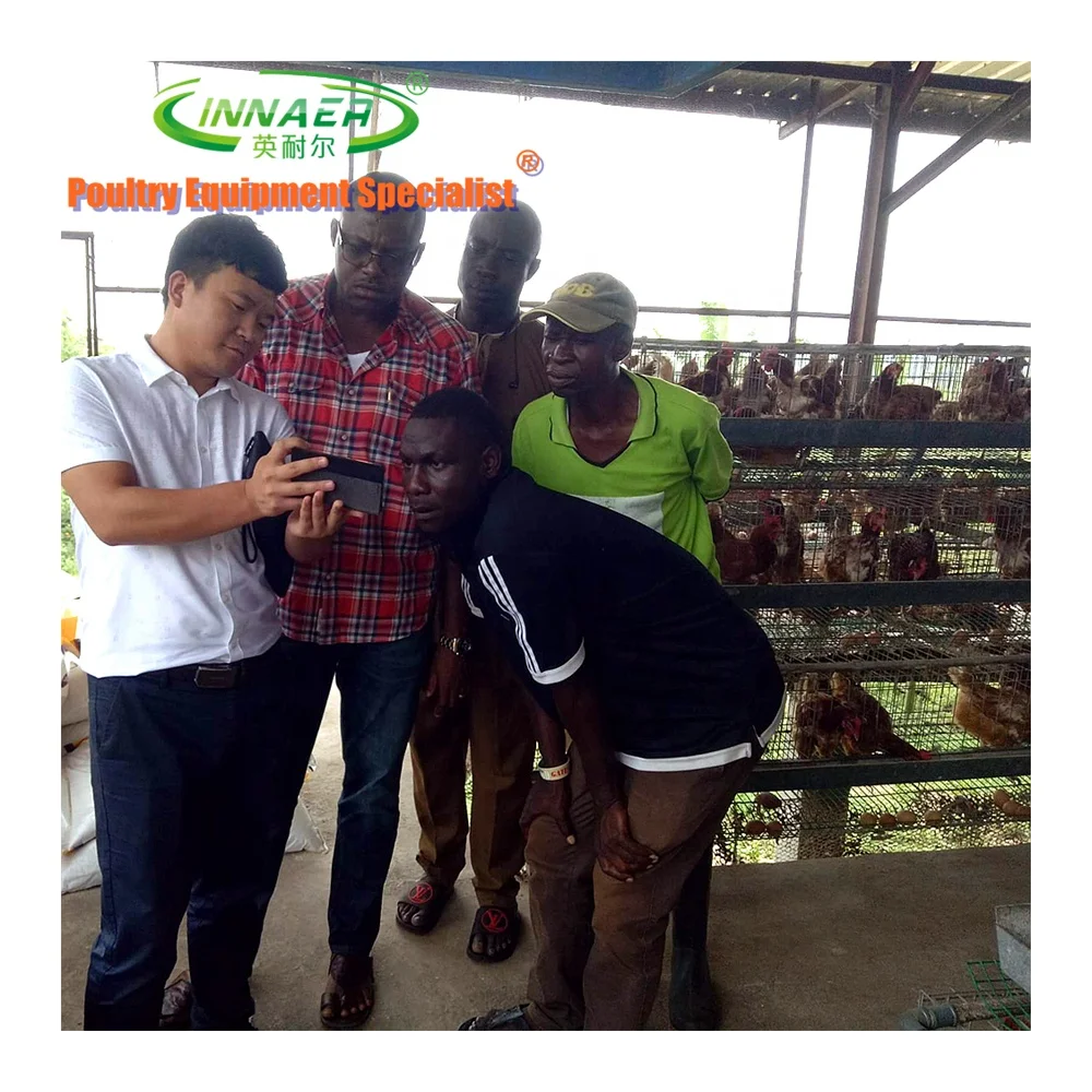 Оборудование для разведения животных и птиц, клетка для курицы