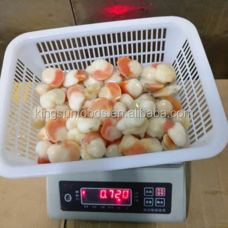 6-8cm Half Shell FARRERI SCALLOP with Roe