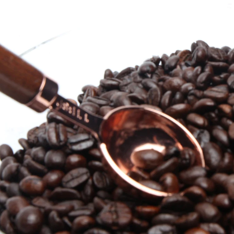 Copper Measuring Spoons Set of 4 Stainless Steel with Wooden Handle Engraved Measurements