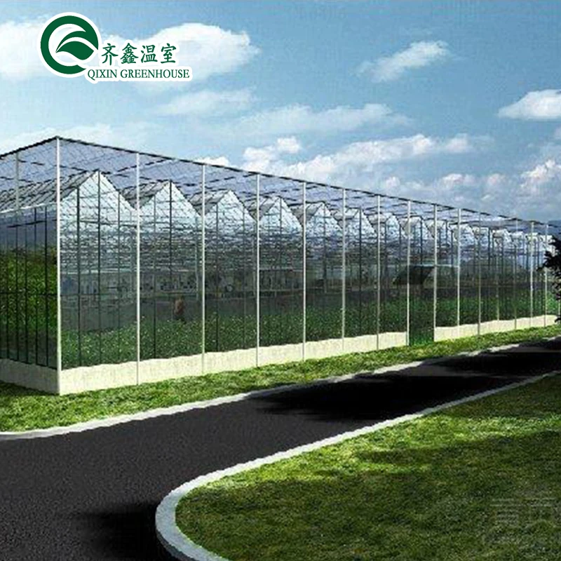 25 Years Quality Guarantee Galvanized Steel Structure For Glass Greenhouse