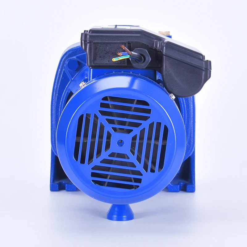 large flow high lift heavy duty twin brass impellers cast iron deep well self priming pump