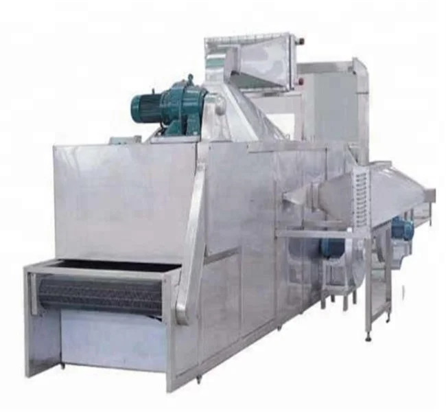 DWT Series conveyor fruit spices belt dryer