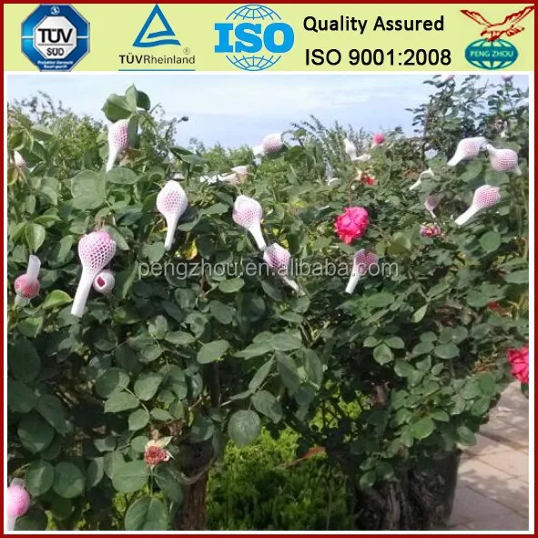 
High quality rose bud protective packaging netting / flowers protection net (factory & export) 