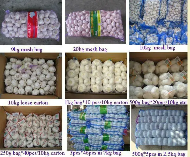 
fresh white garlic 