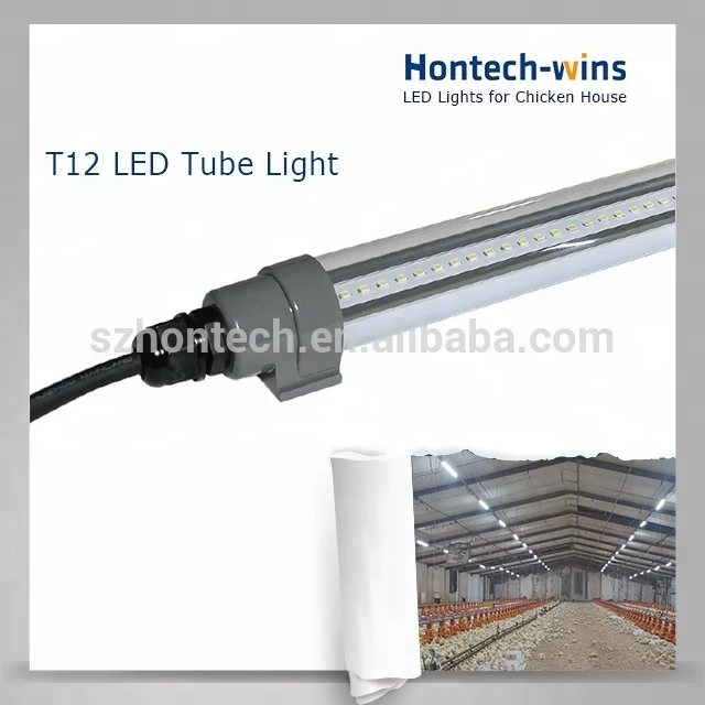 Hontech wins Led lights for poultry house chicken farm lights 25W 30W  lights for broilers