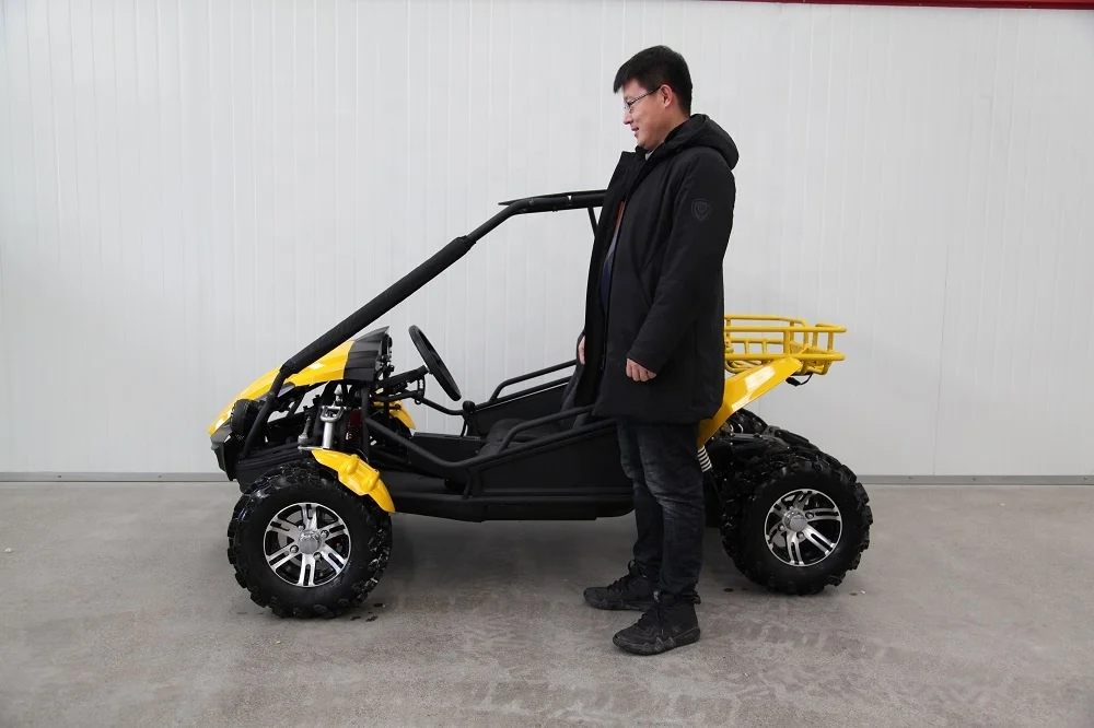 2019 powerful 2 seater 250cc 4x2 off road buggy