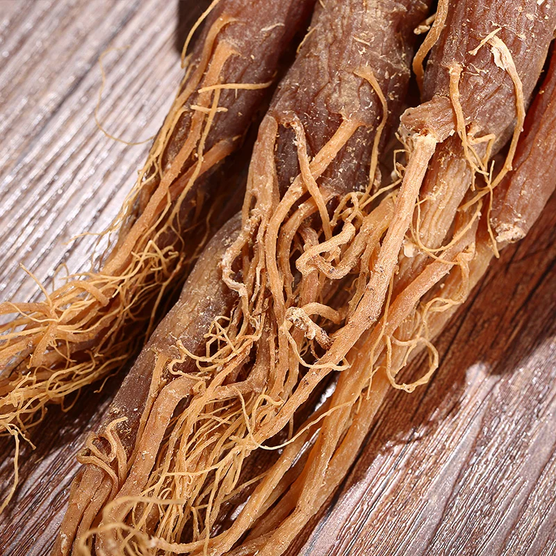 Chinese suppliers Organic korean red ginseng products / fermented red ginseng