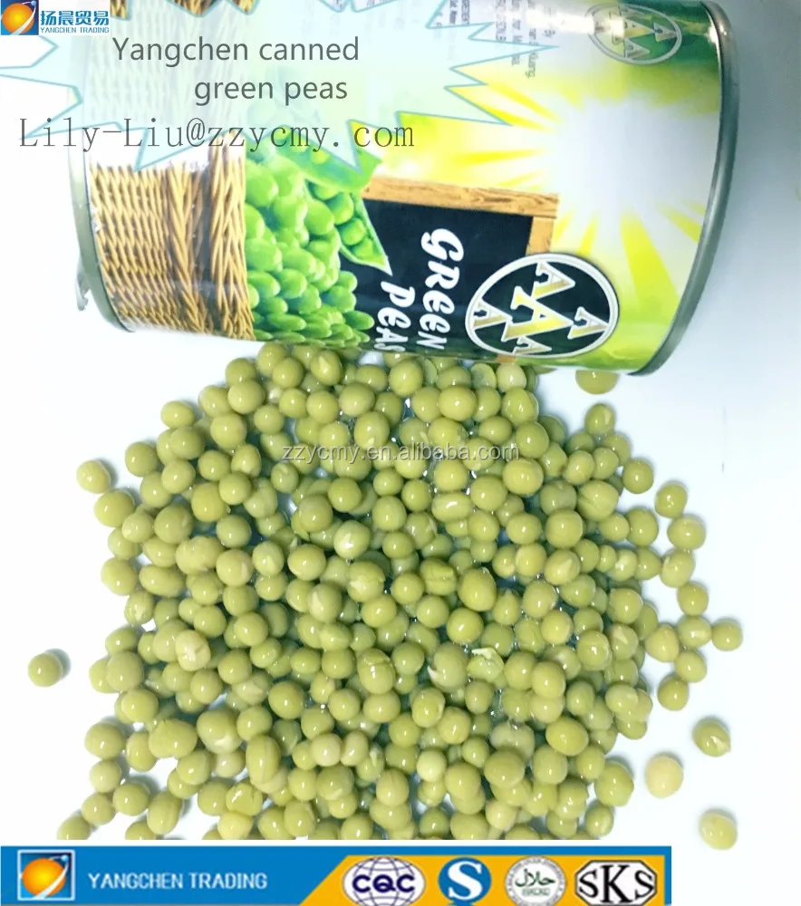 
400g canned fresh green pea in brine High Quality Canned Green peas fresh packed for sale 