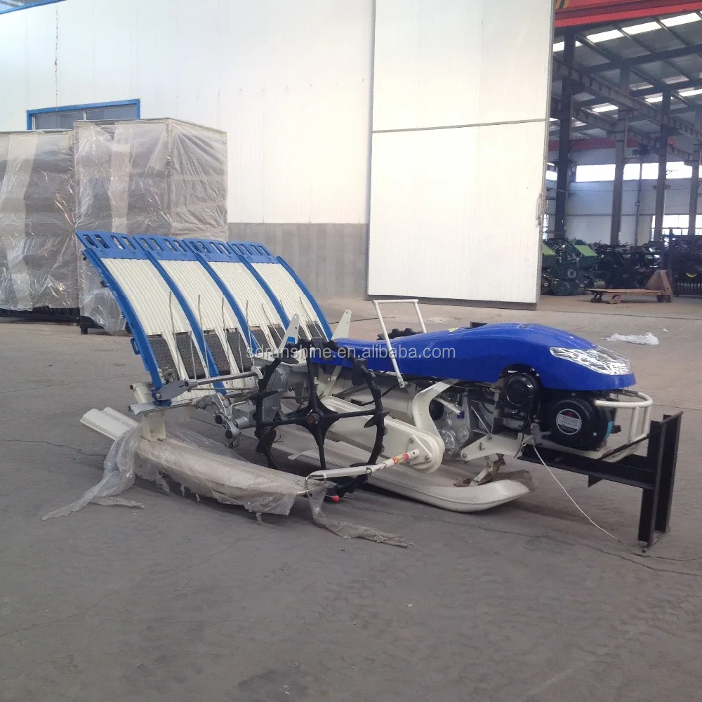 Runshine high quality 2Z-430 walking rice seedling planter