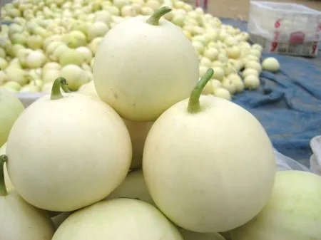 Кожа семена сладкой дыни белый Yinmi ранний
