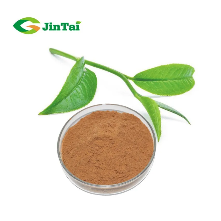 green tea extract polyphenol 98% EGCG 40% catechins