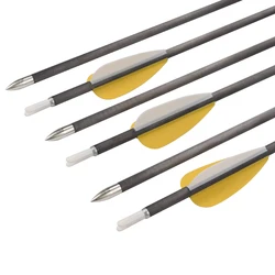 100% Carbon Arrow for Sale Plastic Vane 4.2mm High Quality Shooting Bow and Arrow