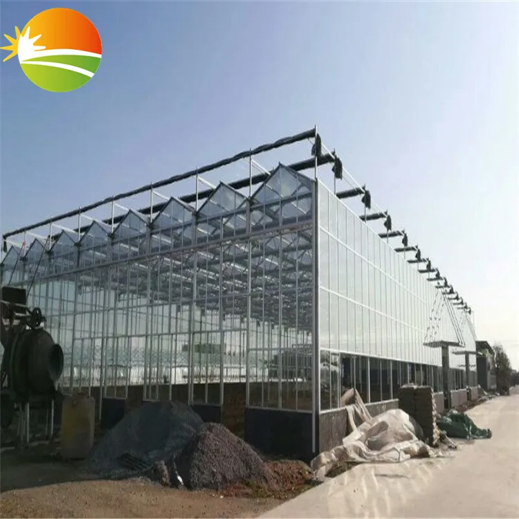 Cheap Tomato Vegetable Greenhouse