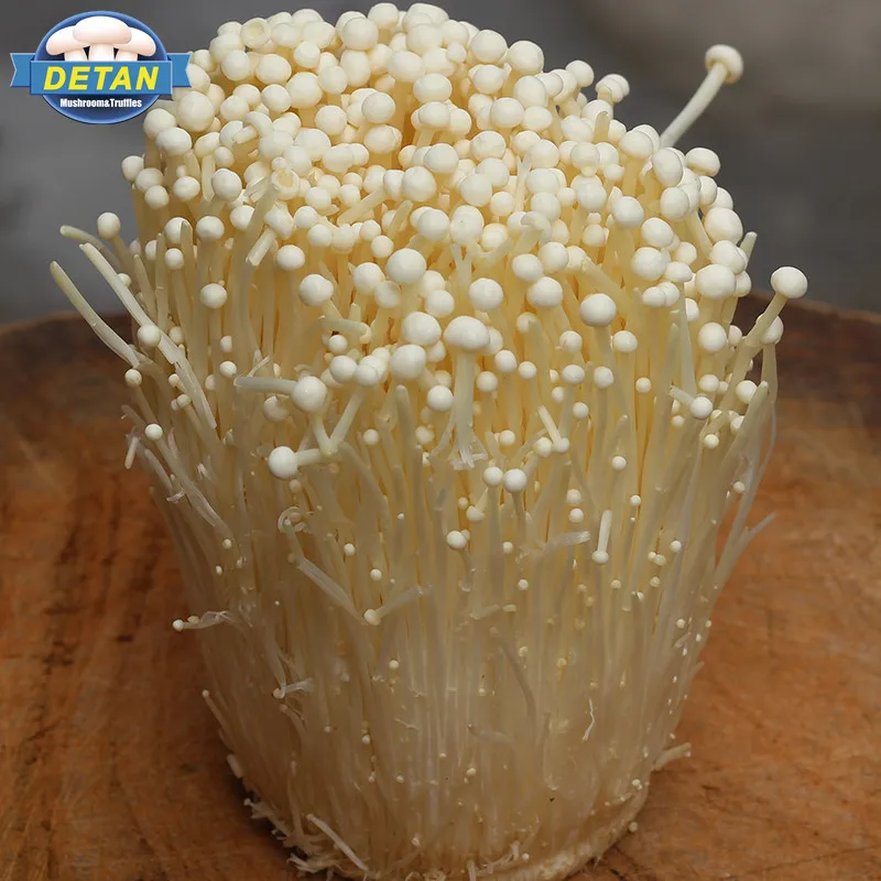 Detan Fresh Enoki во всех типах грибов