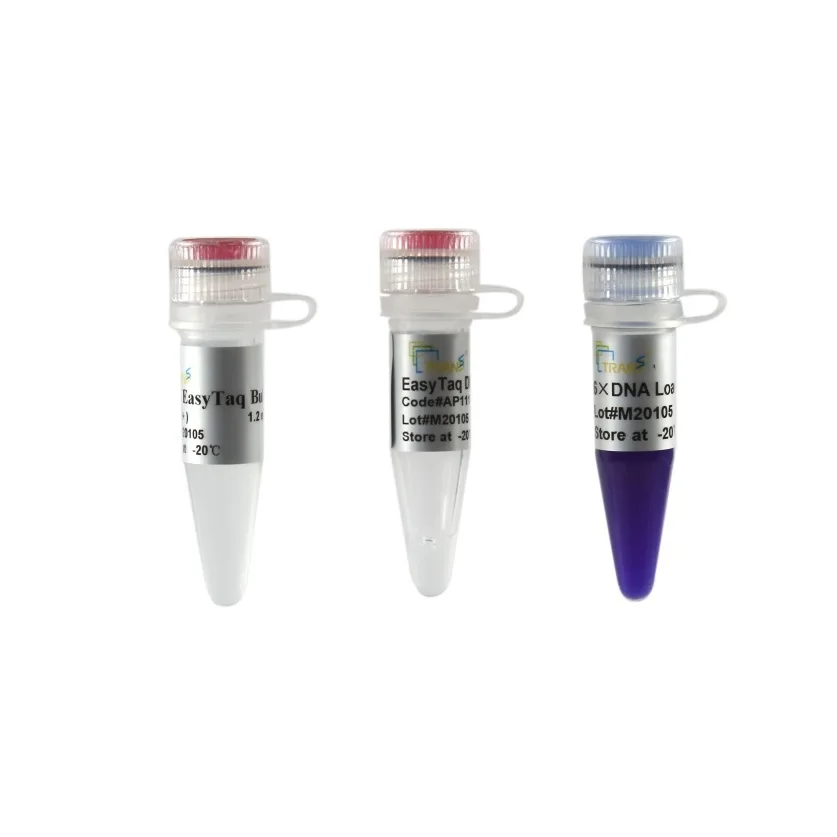 Easy Taq DNA Polymerase-PCR Enzyme by TransGen Biotech