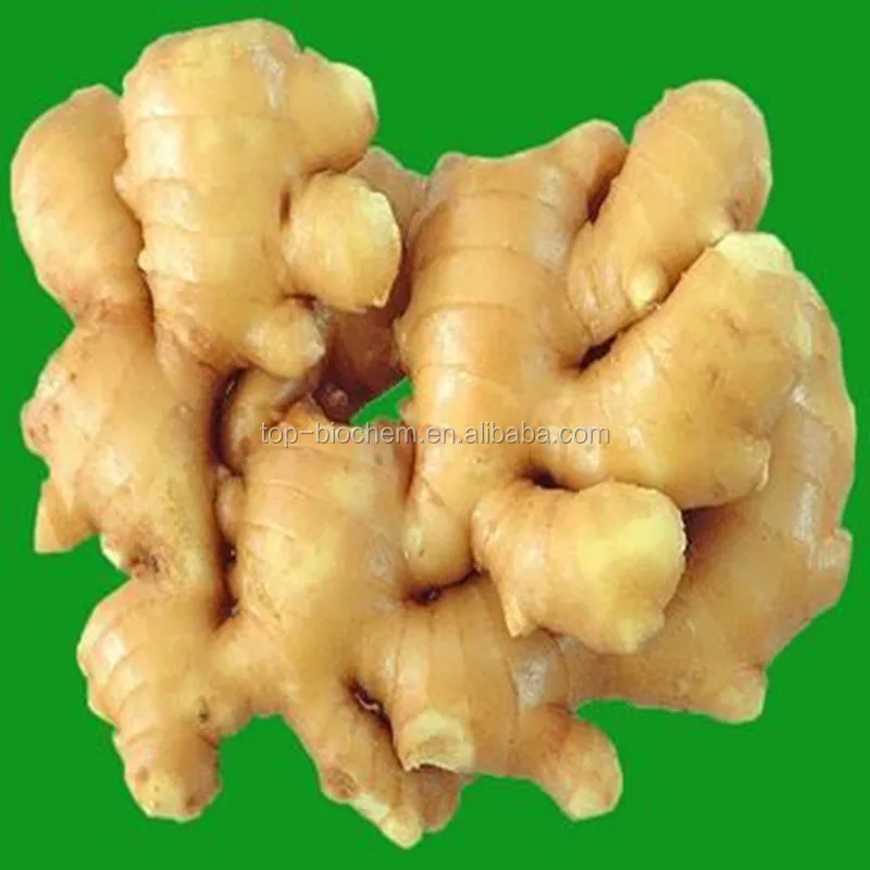 
2018 Best price of fresh ginger extract /ginger oil on hot sale 