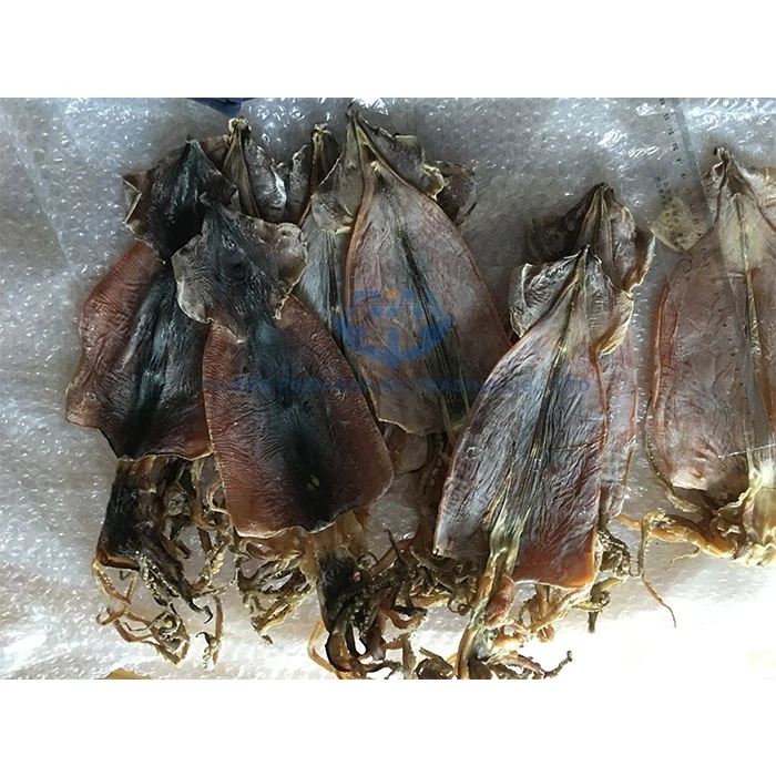 
Moisture Dried todarodes squid 