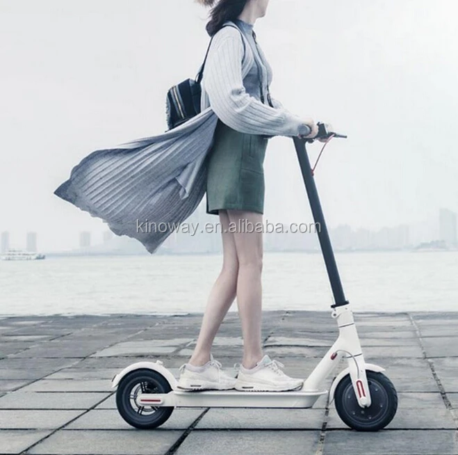 Most Attractive New Electric Scooter 36V 350W High Power e Roller Scooter In Eu  Adults