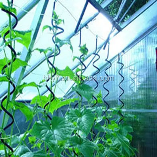 
6.5mm*1.8m tomato wire for amphisarca fruit on hot sale 