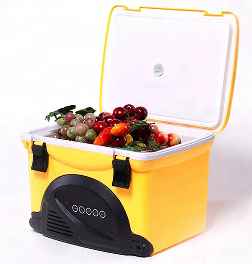 hot sale new cooler box mini plastic cooler box with speaker and radio